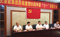 亚星集团召开庆祝建党95周年暨“七一”表彰大会