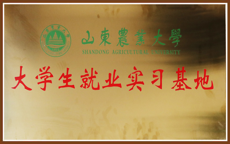 KU酷游官网-相信品牌力量