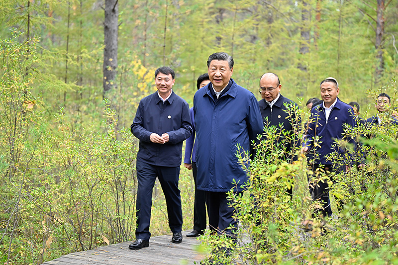 9月6日至8日，中共中央总书记、国度主席、中央军委主席习近平在黑龙江调查。这是6日下午，习近平在大兴安岭地域漠河市漠河林场天然林区调查